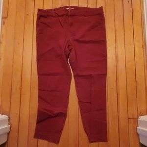 Burgundy pixie pants